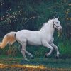 Running White Horse paint by numbers