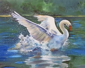 Swan Bird paint by numbers