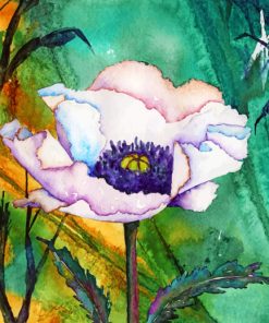 White Poppy Art paint by numbers