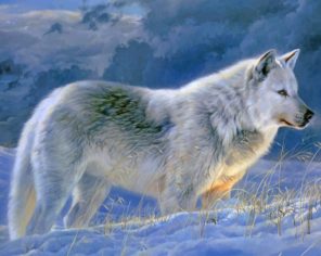 Winter Wolf paint by numbers