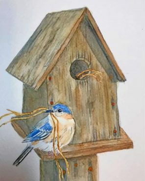 Aesthetic Bird House Paint by numbers