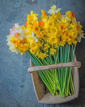 Aesthetic Daffodils Flowers Piant by numbers