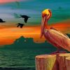 aesthetic-pelican-bird-paint-by-numbers