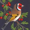 Bullfinch Bird Illustration Paint by numbers