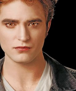 Edward Cullen Twillight Paint by numbers