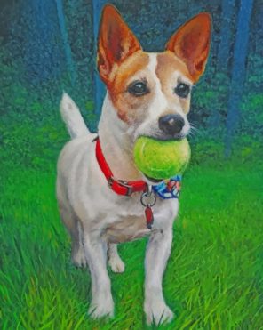 Jack Russell Carrying A Ball Paint by nummbers