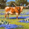 Longhorn Steer paint by numbers