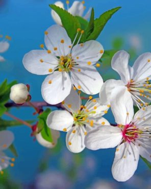 white-flowers-paint-by-numbers