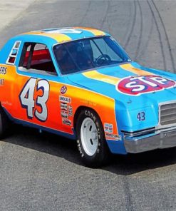 richard-petty-race-car-paint-by-numbers