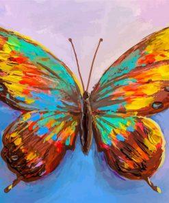 Colorful Butterfly paint by number