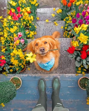 puppy-and-flowers-paint-by-number