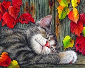 sleepy-cat-paint-by-numbers