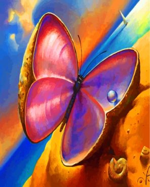 aestehtic-butterfly-paint-by-numbers