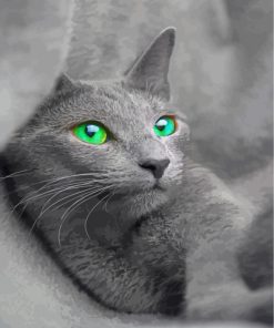 beautiful-russian-blue-cat-paint-by-numbers