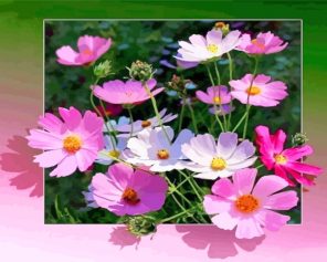 pink-flowers-paint-by-numbers