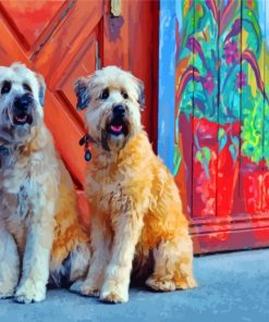 soft-wheaten-terriers-paint-by-numbers