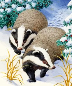 Badgers Animals In Snow Paint by numbers