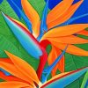 Bird Of Paradise Plant Paint by numbers