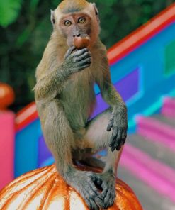 Brown-Monkey-On-Orange-Pumpking-paint-by-number