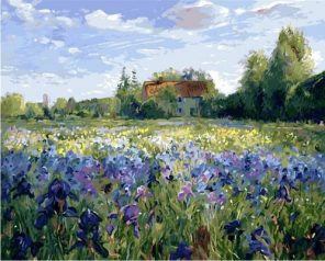 Iris Flowers Field Paint by numbers