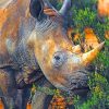 Wild-Brown-Rhinoceros-paint-by-number