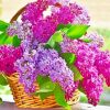 Aesthetic Basket Of Lilac Flowers paint by numbers