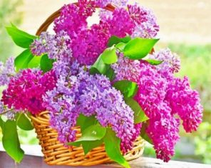 Aesthetic Basket Of Lilac Flowers paint by numbers