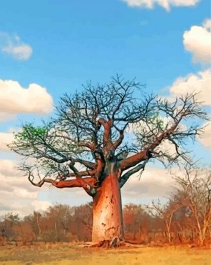 Baobab Tree Paint by numbers