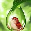 bird-in-bubble-drop-of-water-paint-by-number