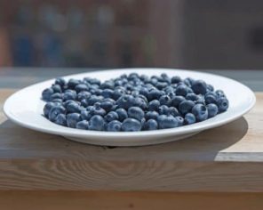 Blueberry Plate On Patio Paint by numbers