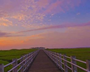 Marsh Boardwalk Paint by numbers