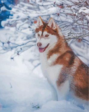 brown-husky-in-the-nsow-paint-by-numbers