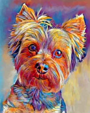 Cute Yorkshire Terrier Paint by numbers