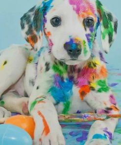 Colorful Dalmatian