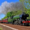 Flying Scotsman paint by numbers