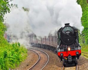 Flying Scotsman Paint by numbers