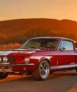 Ford Mustang Classic Shelby paint by numbers