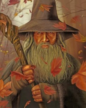 Gandalf Illustration Paint by numbers