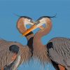 great-blue-heron-couple-paint-by-number