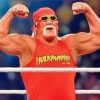 hulk-hogan-paint-by-numbers