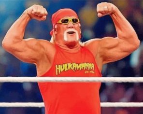 hulk-hogan-paint-by-numbers