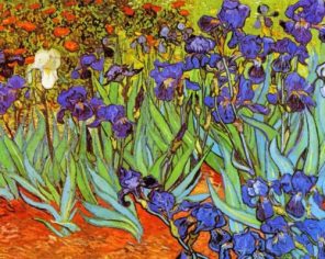 Irises Vincent Van Gogh paint by numbers