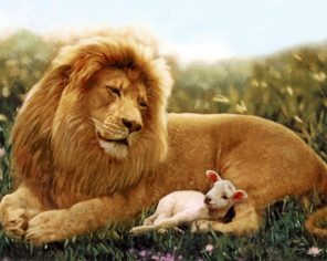 Lion And Lamb