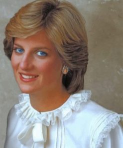 Princess Diana Paint by numbers