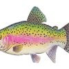 Trout Illustration Paint by numbers