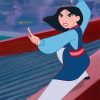 Disney Mulan paint by numbers