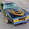 78-firebird-trans-am-paint-by-number