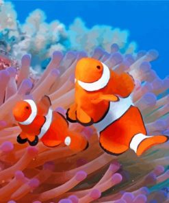 Aesthetic Clownfish paint by numbers