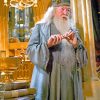 Albus Dumbledore Harry Potter paint by number