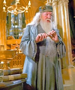 Albus Dumbledore Harry Potter paint by number